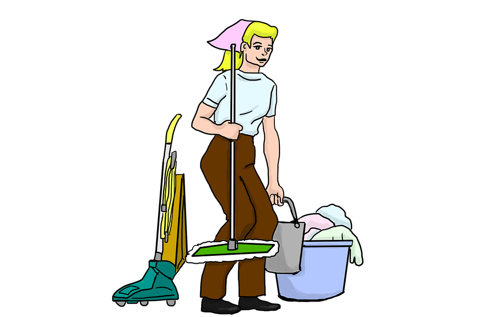 House-Cleaner